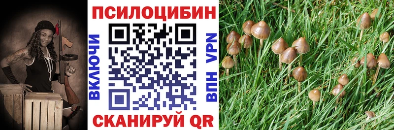 Галлюциногенные грибы MAGIC MUSHROOMS  хочу   Бирск 