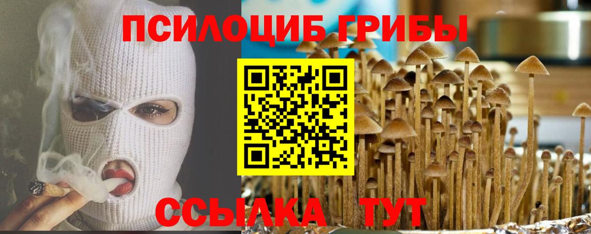 Псилоцибиновые грибы Psilocybe Бирск