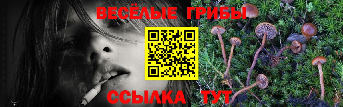 Галлюциногенные грибы GOLDEN TEACHER  Галлюциногенные грибы Magic Shrooms  Вход с VPN  Бирск 